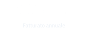 300mlnFatturato