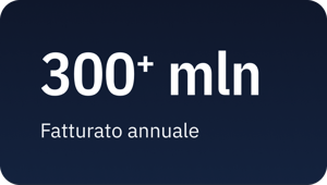 300FatturatoAnnuale
